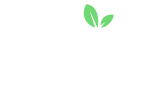 Fruitycasa Casino